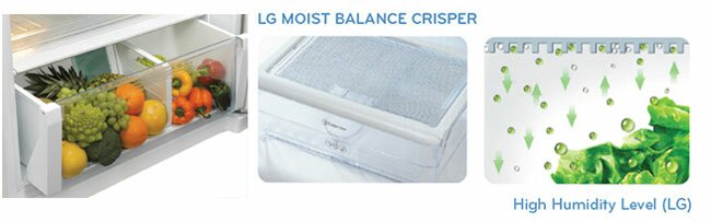 LG-GN-V191RL-Moist-Balance-Crisper